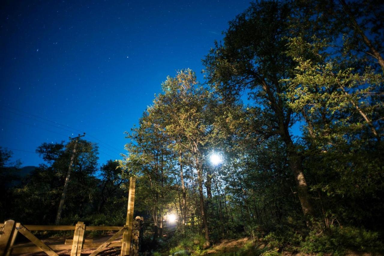 Hotel Glamping Domos Treepod Las Trancas Exteriér fotografie